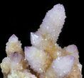 Cactus Quartz (Amethyst) Crystal - Very Long Crystals #44791-2